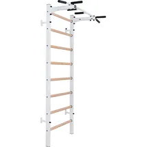 BenchK BenchK® Turnleiter 221W