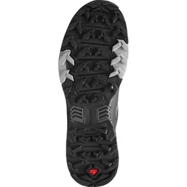 Salomon X Ultra 4 Gore-Tex Herren magnet/black/monument 42 2/3