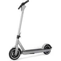 soflow E-Scooter »SO ONE PRO«, 20 km/h, 65 km, 500 W)