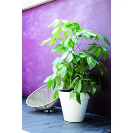 elho Loft Urban rund Ø 58 x 54 cm weiß