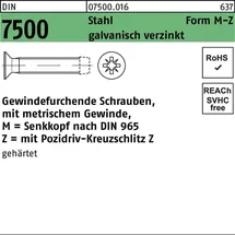 Hörger & Geßler Gewindefurchendeschraube DIN 7500 M6 x 40 500 Stück