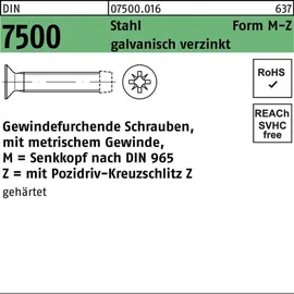 Hörger & Geßler Gewindefurchendeschraube DIN 7500 M6 x 40 500 Stück