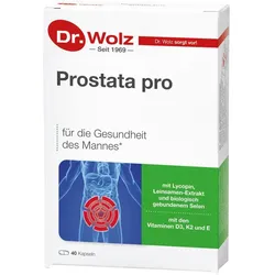 Prostata pro Dr. Wolz Kapseln 40 ST