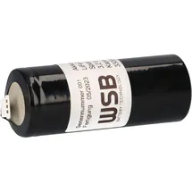 Akkuman Akku LiFePO4 3,2V 3300 mAh 1 St.