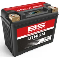 BS Battery BSLI-11 8 Ah