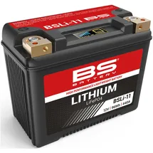 BS Battery BSLI-11 8 Ah