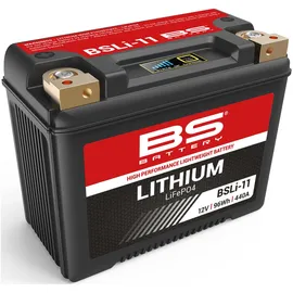 BS Battery BSLI-11 8 Ah