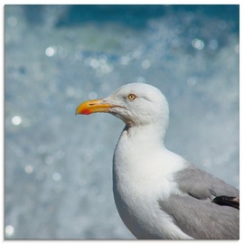 Artland Glasbild »Möwe an der Nordseeküste«, Vögel, (1 St.), beige