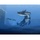 Monster Hunter Tri (Wii)