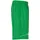 Kempa Reversible Basketballshorts Herren grün/weiß XL