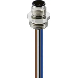 Belden Einbaustecker M12 RSFM 4/20/0,5m