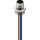 Belden Einbaustecker M12 RSFM 4/20/0,5m