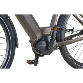 Prophete Geniesser 3.3 28 Zoll RH 48 cm Matt Bronze