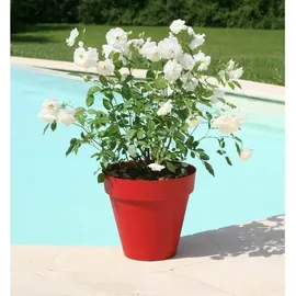 Riviera Ø 60 x 53,6 cm Rot