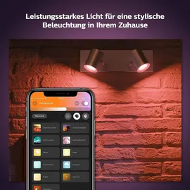 Philips Hue White and Color Ambiance Argenta 2-flg. aluminium