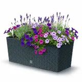 Prosperplast Rato Case 51,4 x 19 x 18,65 cm Anthrazit