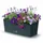 Prosperplast Rato Case 51,4 x 19 x 18,65 cm Anthrazit