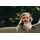 XPLORA XGO3 Gen 2 inkl. Freenet SIM Schwarz