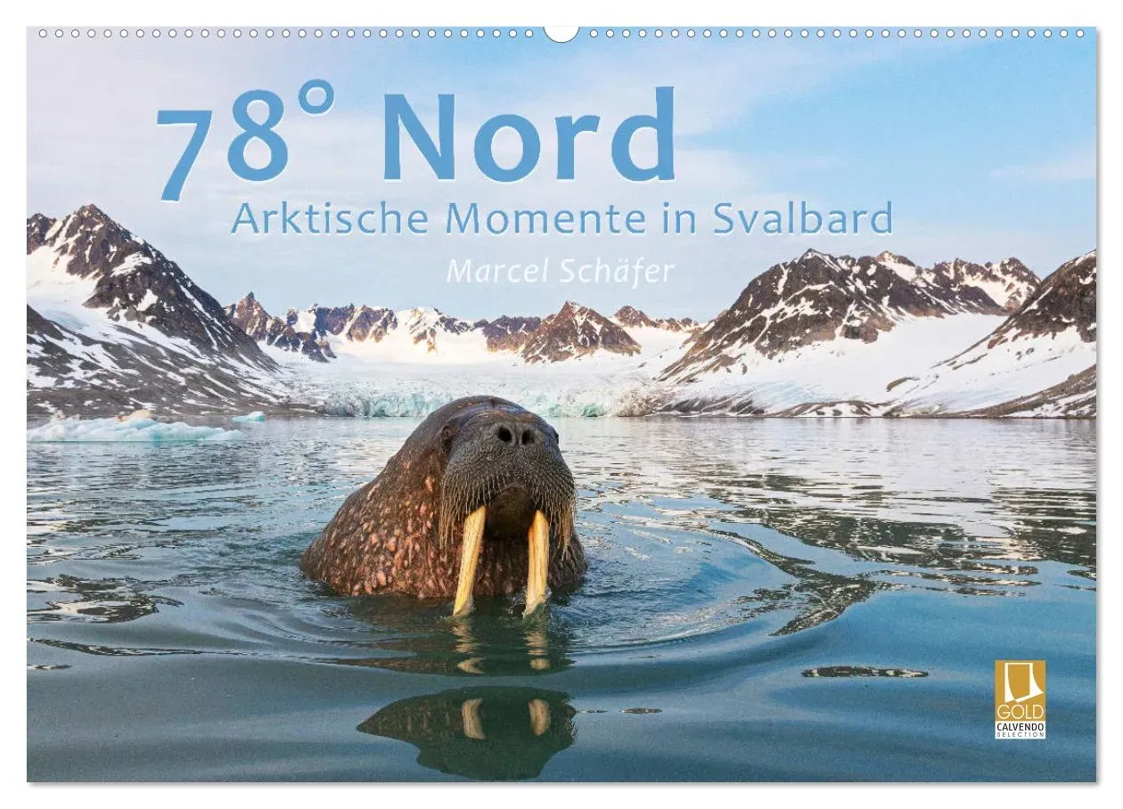 78° Nord - Arktische Momente in Svalbard (CALVENDO Wandkalender 2024) - A3