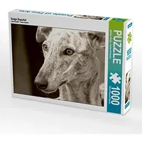 Calvendo Galgo Español Puzzle