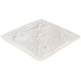 Paradies Baby-Sommerdecke 80x80 cm mit Lyocell-Füllung, Navina Bio sommerleicht, Öko-Tex Zertifiziert Standard 100 Klasse 1, medizinisch getestet, Babydecke
