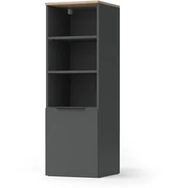 Vicco Wido Aktenschrank 40,2 x 120 x 0 cm Anthrazit/Sonoma