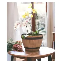 H&D Manufaktur Jinfa Ø 38 x 27 cm Walnuss