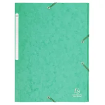 Exacompta 17103H Sammelmappe Karton Grün