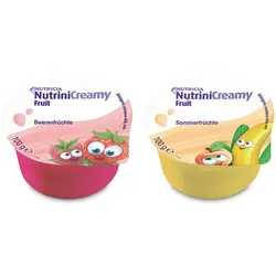 Nutrini Creamy Fruit Mischkarton 32X100 g