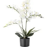 Bloomingville Künstliche Orchidee,