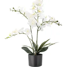 Bloomingville Künstliche Orchidee,