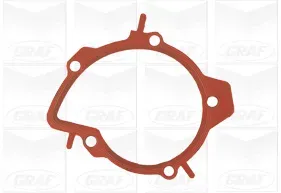 GRAF Wasserpumpe pa1110 für Ford DS Peugeot Fiat TOYOTA