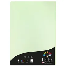 Clairefontaine Pollen A4 120 g/m2 50 Blatt