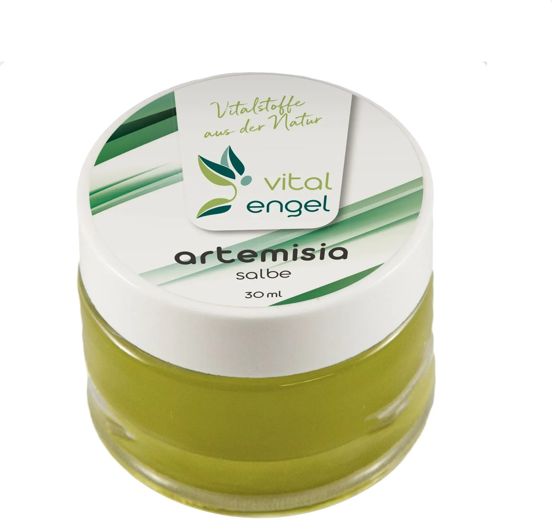 Artemisia annua Salbe (30 ml) - Vital Engel