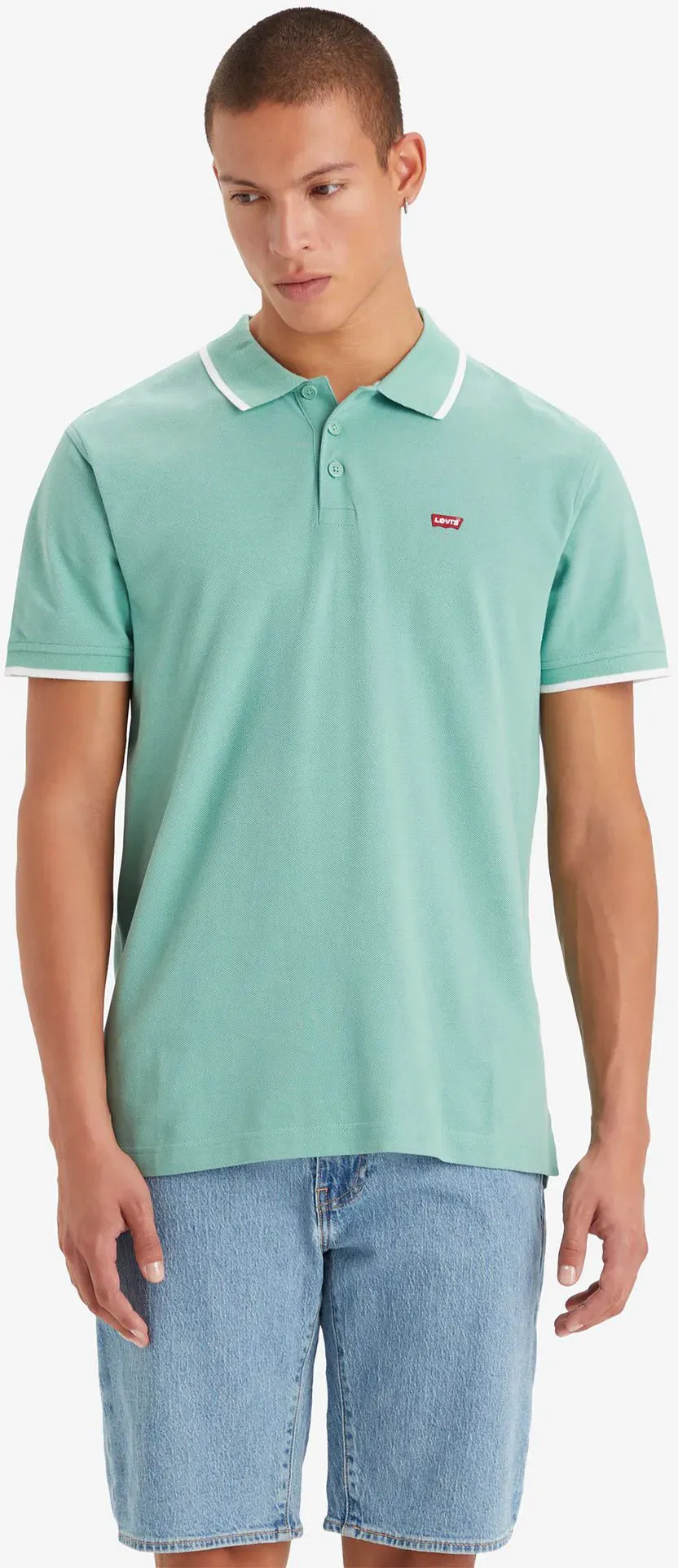 Levi's® Poloshirt »LE NEW LEVIS HM POLO«, mit kleinem Batwing-Logo Levi's® FELDSPAR L