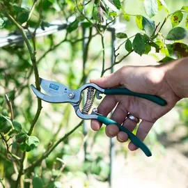 Siena Garden Astschere CG2080