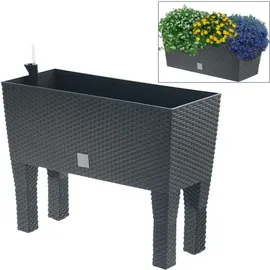 Prosperplast Rato Case High 80 x 33 x 62 cm anthrazit