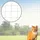 Trixie Schutznetz Katzennetz 3 x 2 m transparent
