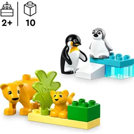 LEGO DUPLO - Wildtier-Familien: Pinguine und Löwen (10442)