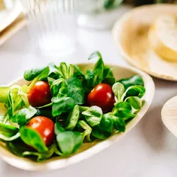 BIOZOYG 25 Stück Premium Einwegteller aus Palmblatt in Tropfenform 26cm, umweltfreundlich, kompostierbar, ideal für Events und Partys