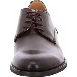 DIGEL Sebastian braun 43