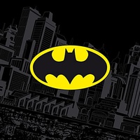 Zauberhaftes Kinderhandtuch 30x30 Batman