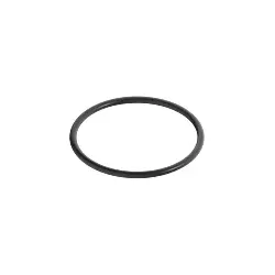 Dornbracht O-Ring 09141004990 2,62 mm