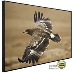 papermoon Infrarotheizung »EcoHeat - Der Steppenadler«, Matt-Effekt - bunt