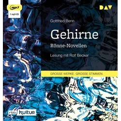 Gehirne. Rönne-Novellen