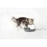 Nobby Trinkbrunnen Katze Cascade 1,5 l