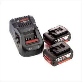 Bosch GBA 18 V Li-Ion 2 x 5,0 Ah + GAL 1880 Schnell Ladegerät