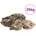 vidaXL Drachensteine 25 kg Grau 10-40 cm