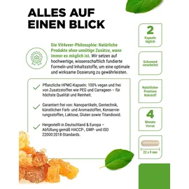 Vit4ever Weihrauch Extrakt Kapseln 240 St.