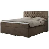 MKS Meble Boxbett mit Bettkasten ¦ braun ¦ Maße (cm): B: 140 H: 125